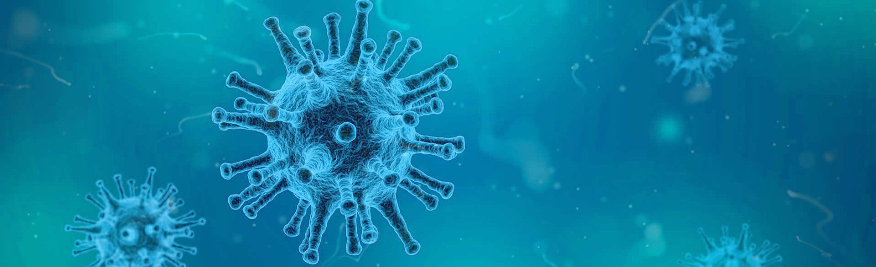 flu virus